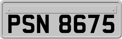 PSN8675