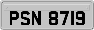 PSN8719