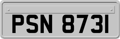 PSN8731