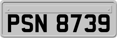 PSN8739