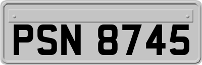 PSN8745
