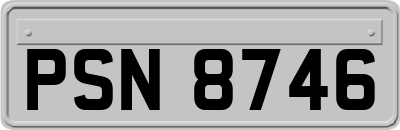 PSN8746
