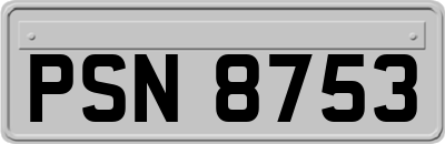 PSN8753