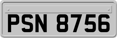 PSN8756