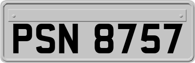 PSN8757