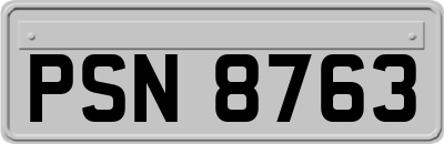 PSN8763