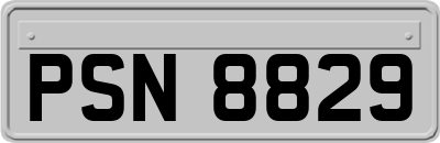 PSN8829