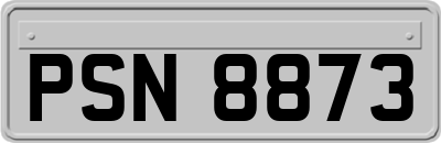 PSN8873