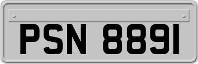 PSN8891