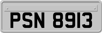 PSN8913