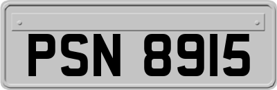 PSN8915