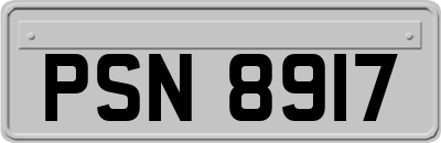 PSN8917