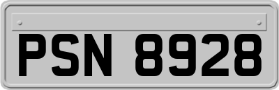 PSN8928