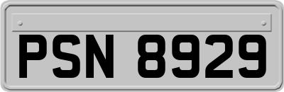 PSN8929