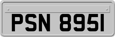 PSN8951