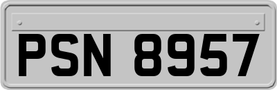 PSN8957
