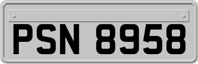 PSN8958