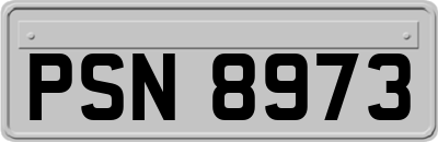 PSN8973