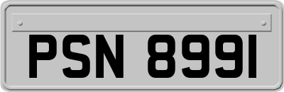 PSN8991