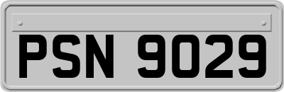 PSN9029