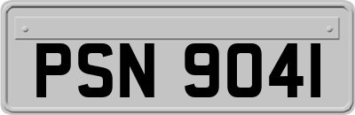 PSN9041
