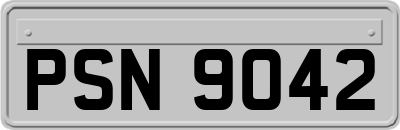 PSN9042