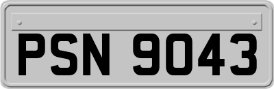 PSN9043