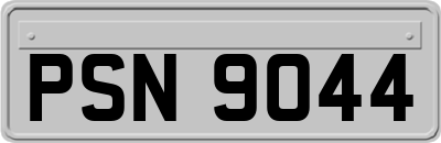 PSN9044