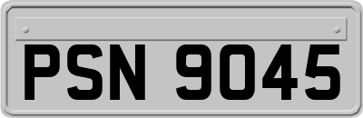 PSN9045