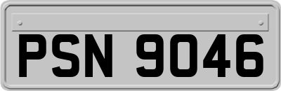PSN9046