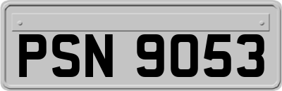 PSN9053