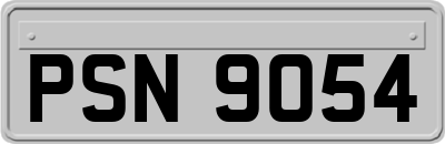 PSN9054