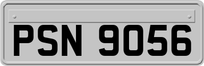 PSN9056