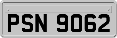 PSN9062