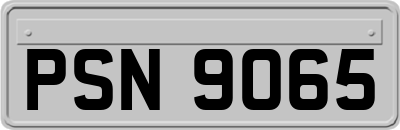 PSN9065