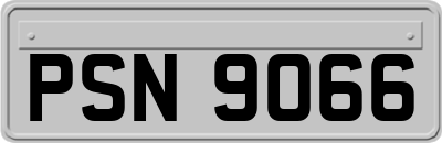 PSN9066