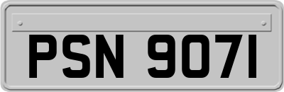 PSN9071