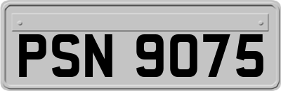 PSN9075