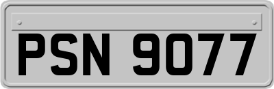 PSN9077