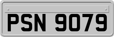 PSN9079
