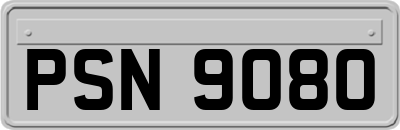 PSN9080