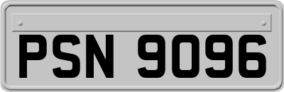 PSN9096