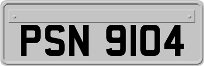 PSN9104