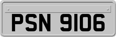PSN9106