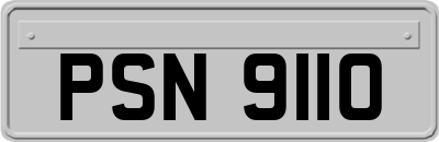 PSN9110