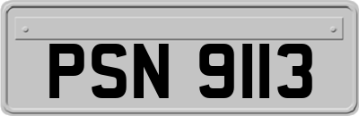 PSN9113