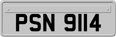 PSN9114