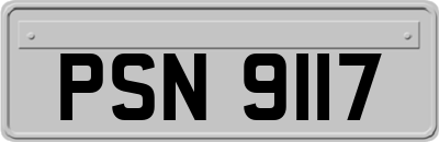 PSN9117