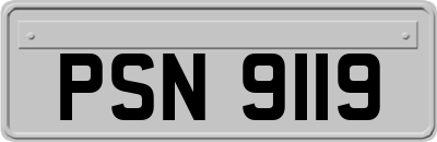 PSN9119