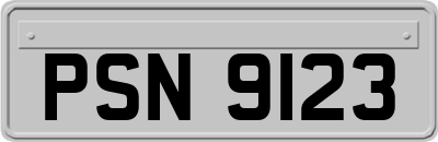 PSN9123
